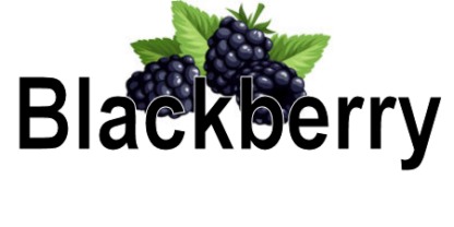 Blackberry Label, 110ct.